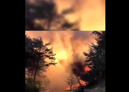 polskaracja.pl: Pożar w Korei Południowej